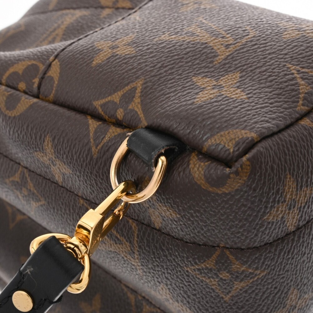 Louis Vuitton Canvas Daypack Monogram Springs Brown Palm Backpack - Picture 9 of 11